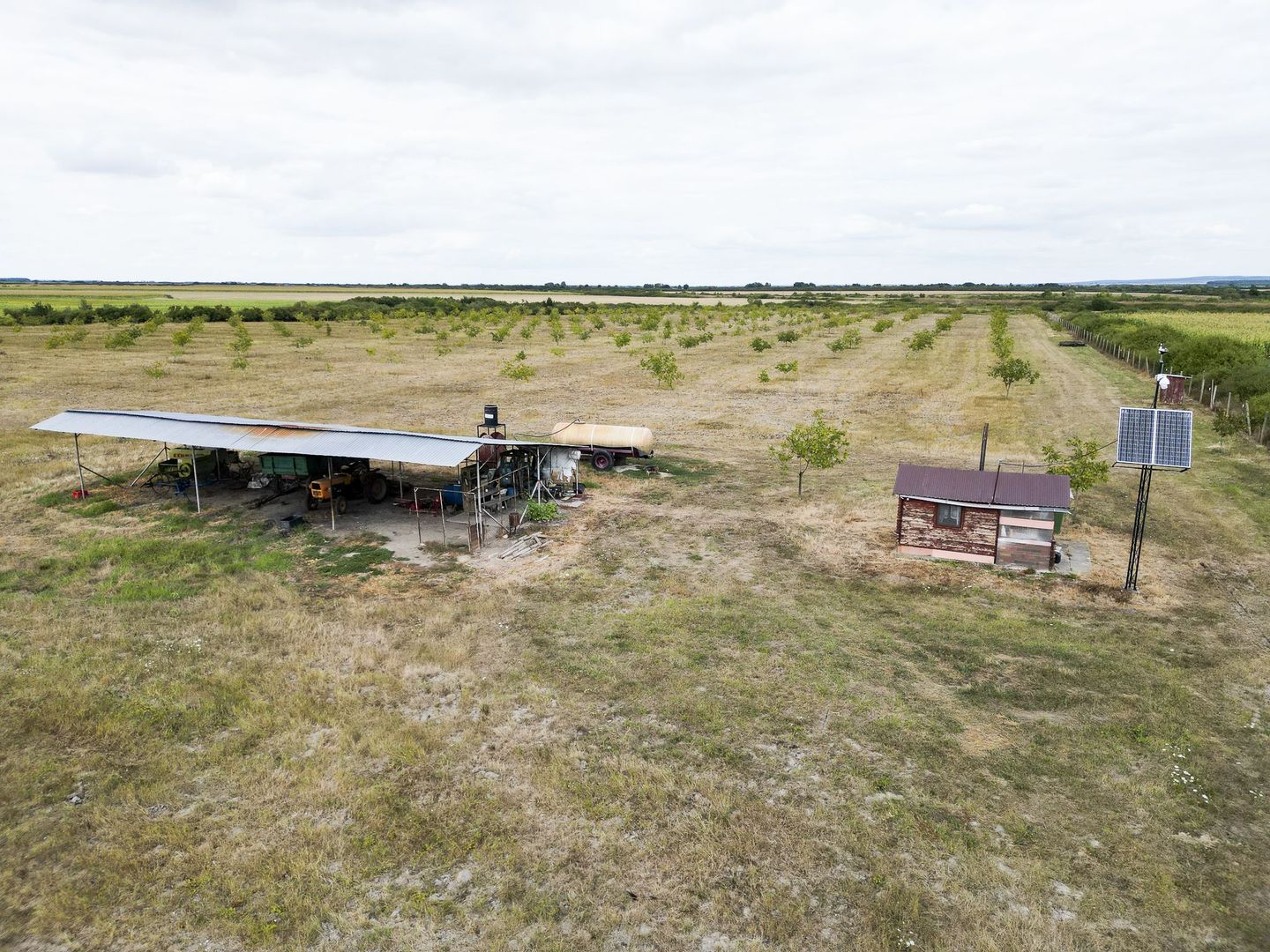 Livadă BIO de nuci de vânzare lângă Cermei - Poză 5