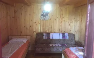 Pensiune cu 6 iazuri și 22 locuri | Peștera Urșilor | Apuseni - Poză 17