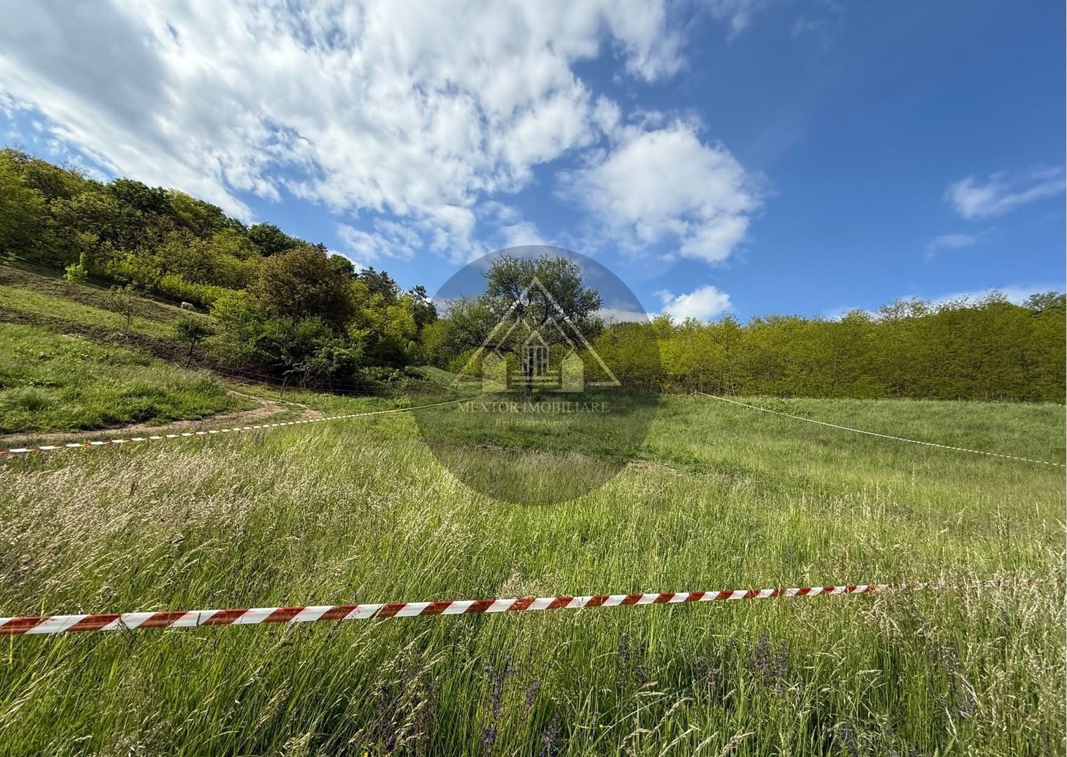 Teren de casa cu PUZ, Mosnei - Poză 6