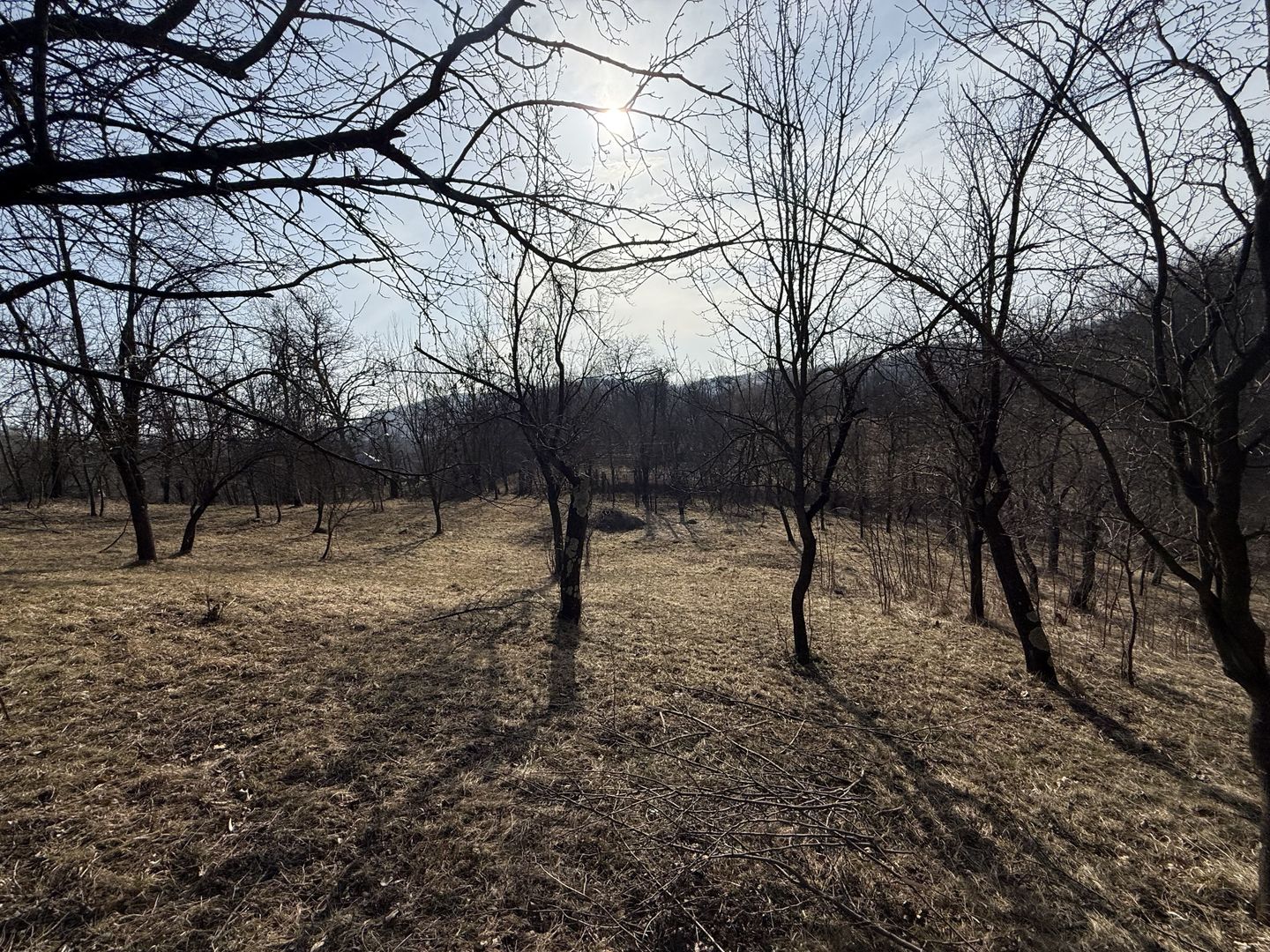 Teren intravilan 2788 mp deschidere 55 ml cu vedere panoramica ! - Poză 10