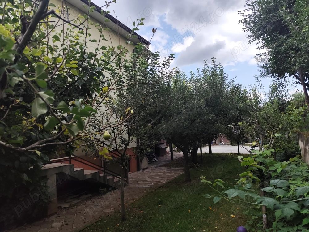 Zonă deosebită, oportunitate de investiție casă individuala in Gruia - Poză 6