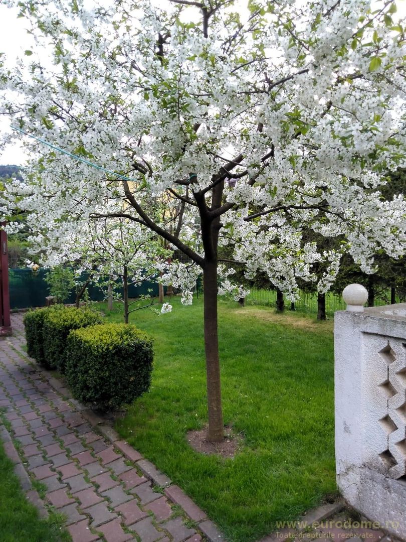 Vanzare case in imprejurimi - Poză 4