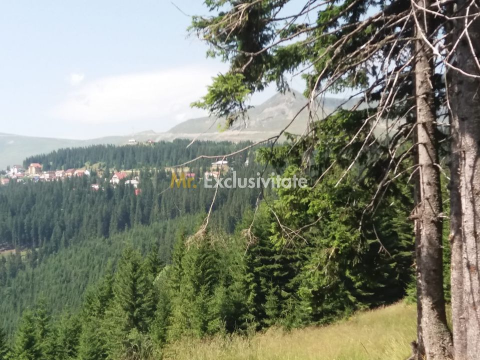 Cabană în Rânca cu 500 mp teren și panoramă impresionantă - Poză 2