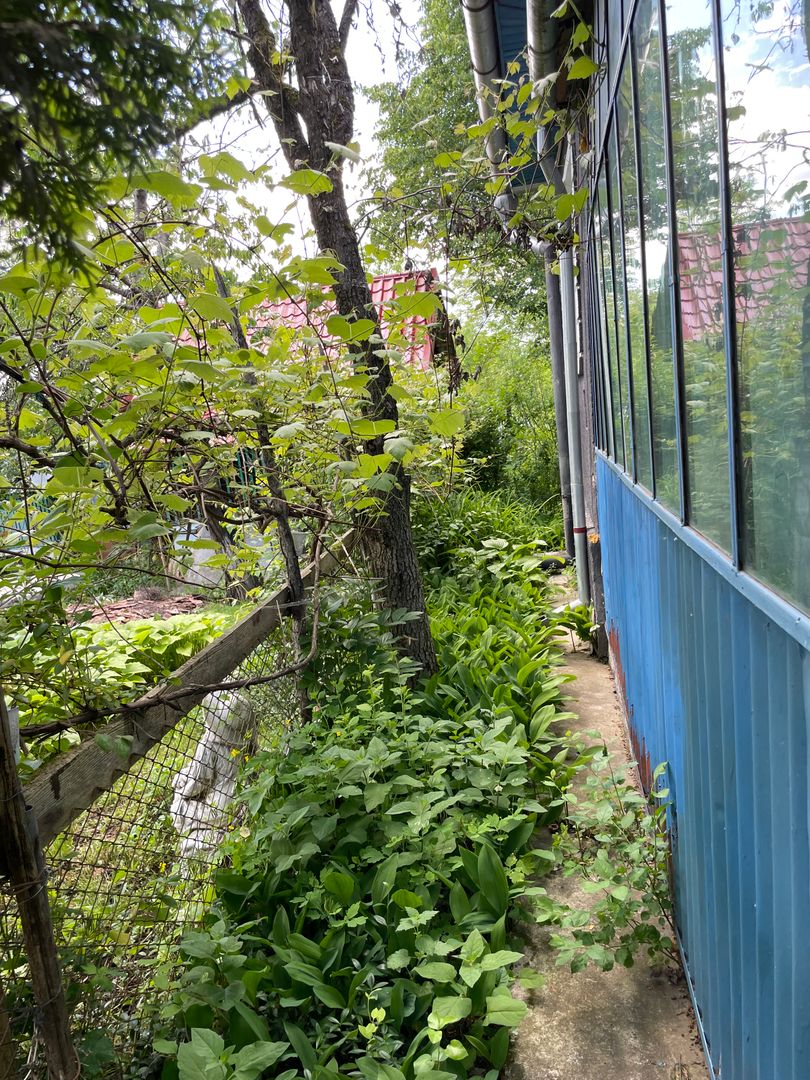 Casa in Comuna Geaca - Poză 18