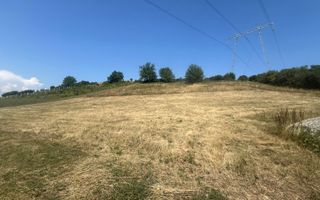 Teren Intravilan |5.000 MPU | Șura-Mare | - Poză 4