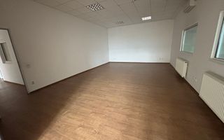 Hale de închiriat-zona străzii Corneliu Coposu - Poză 6