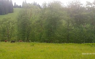 Teren de 5 ari între Poiana Stampei și Dorna Candreni, pe malul râului Dorna – 6.500 euro - Poză 3