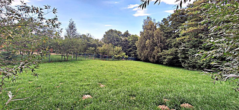 Bran Predelut teren intravilan de 2000mp, pret 27 euro/mp - Poză 10