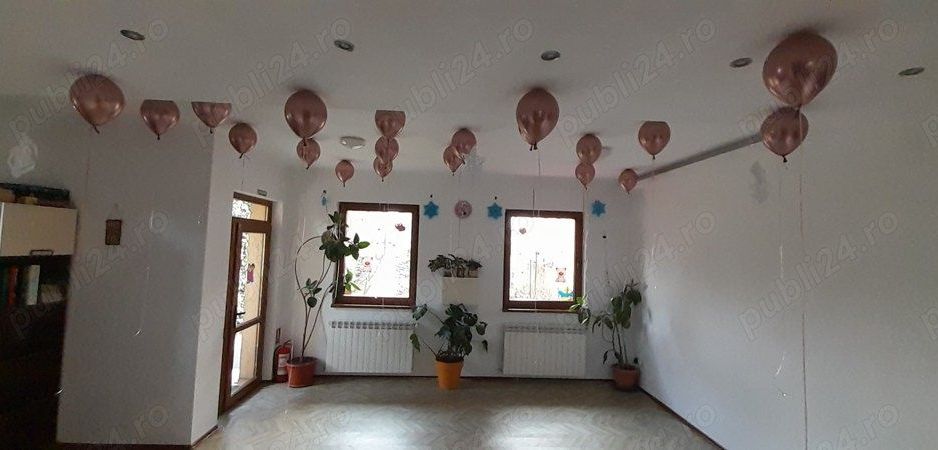 Special villa north area of Bucharest, for residence or business,owner - Poză 3