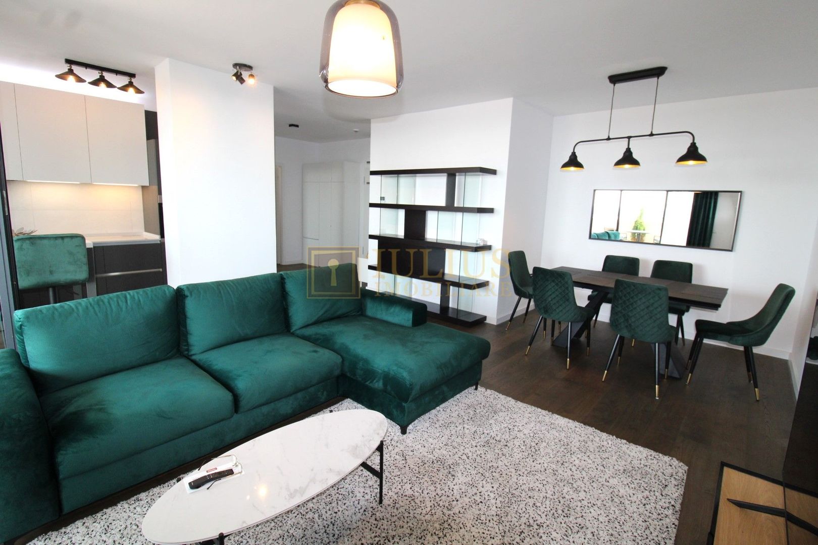 Penthouse de lux,  Take Ionescu(ISHO) - Poză 1