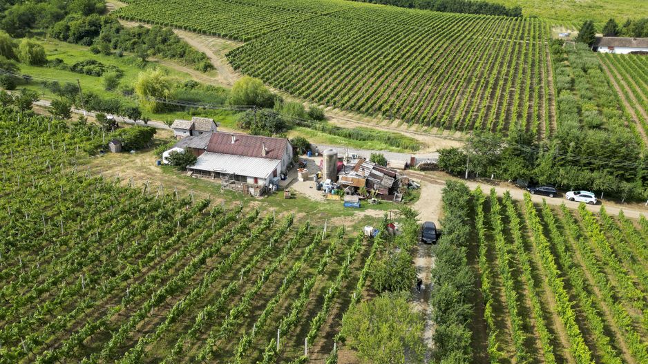 Vie Tradițională „Halta Lupilor” - Poză 47