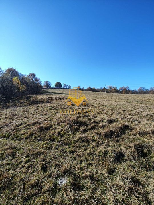 Teren de vanzare, intravilan, 16667 mp, Abrud, Jud. Alba - Poză 1