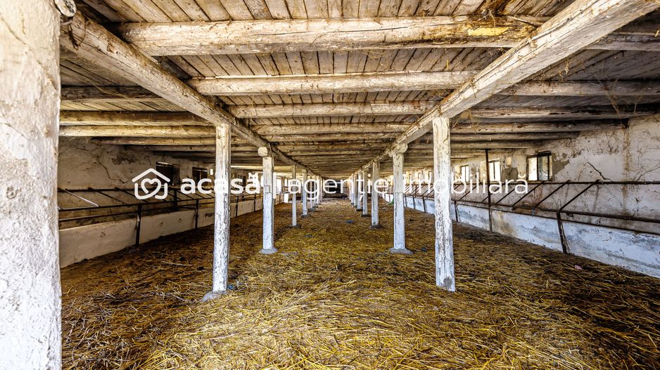 Fermă Mândruloc 2,5 ha - Poză 4