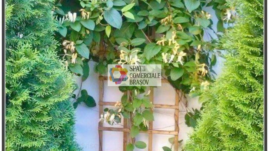 Casa Restaurant cu gradina - 250 mp - Poză 15