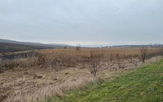 Teren 13.780 mp, Apahida, Cluj - Ideal pentru Investiție - Poză 7