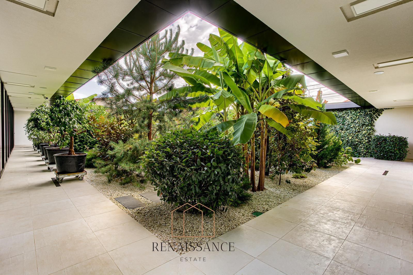 Dumbravita Casa Exclusivista pe Parter | 5 Camere | 1477mp Teren - Poză 18