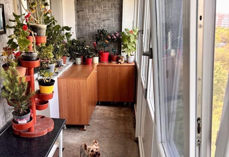 Apartament spatios cu doua camere, Aliorului, 80.000€ - Poză 3