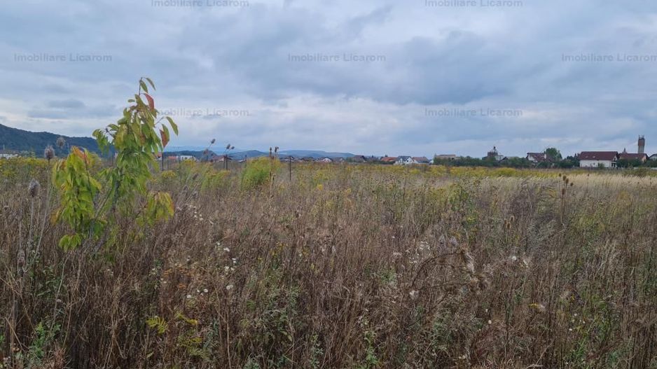 De vanzare teren  502 mp Harman Aleea 14 pret 32000 euro - Poză 3