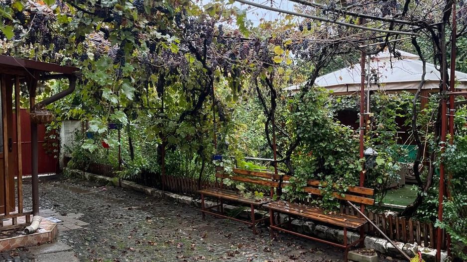 Casă de vânzare în Sânpetru Vechi - singur în curte, garaj, foișor - Poză 14