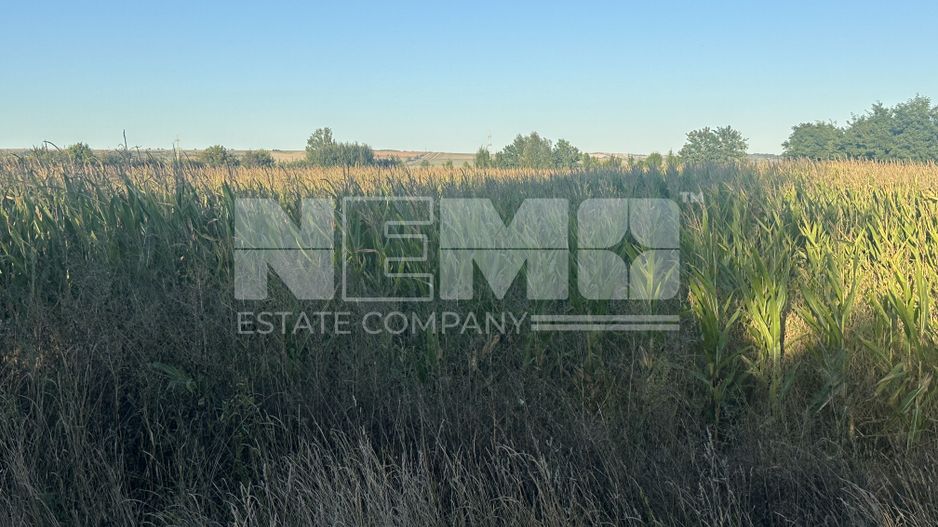 Teren Siret E85 | 2500MP | Toate Utilitățile - Poză 4