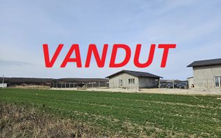 Teren intravilan 882 mp, Smeura - Hintesti - Poză 1