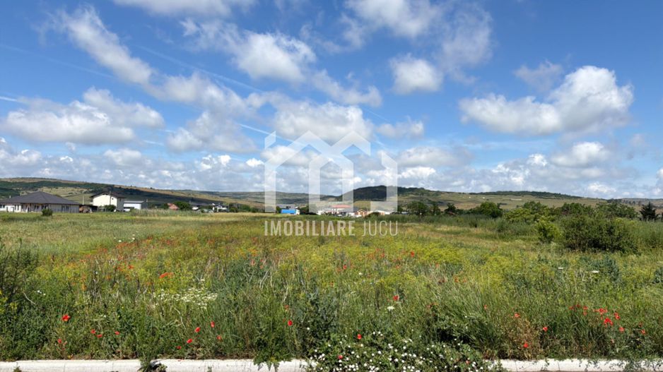 Teren intravilan | Dezvoltare Rezidențială – 6600 mp | Jucu de MIjloc - Poză 4