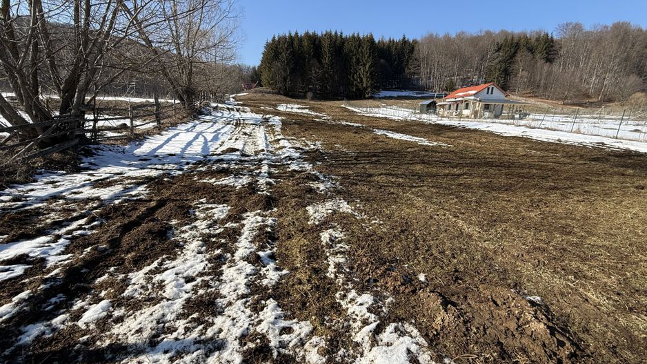 Teren intravilan 4521mp lângă pădure-valea Doftanei -Calea Brasovului - Poză 6