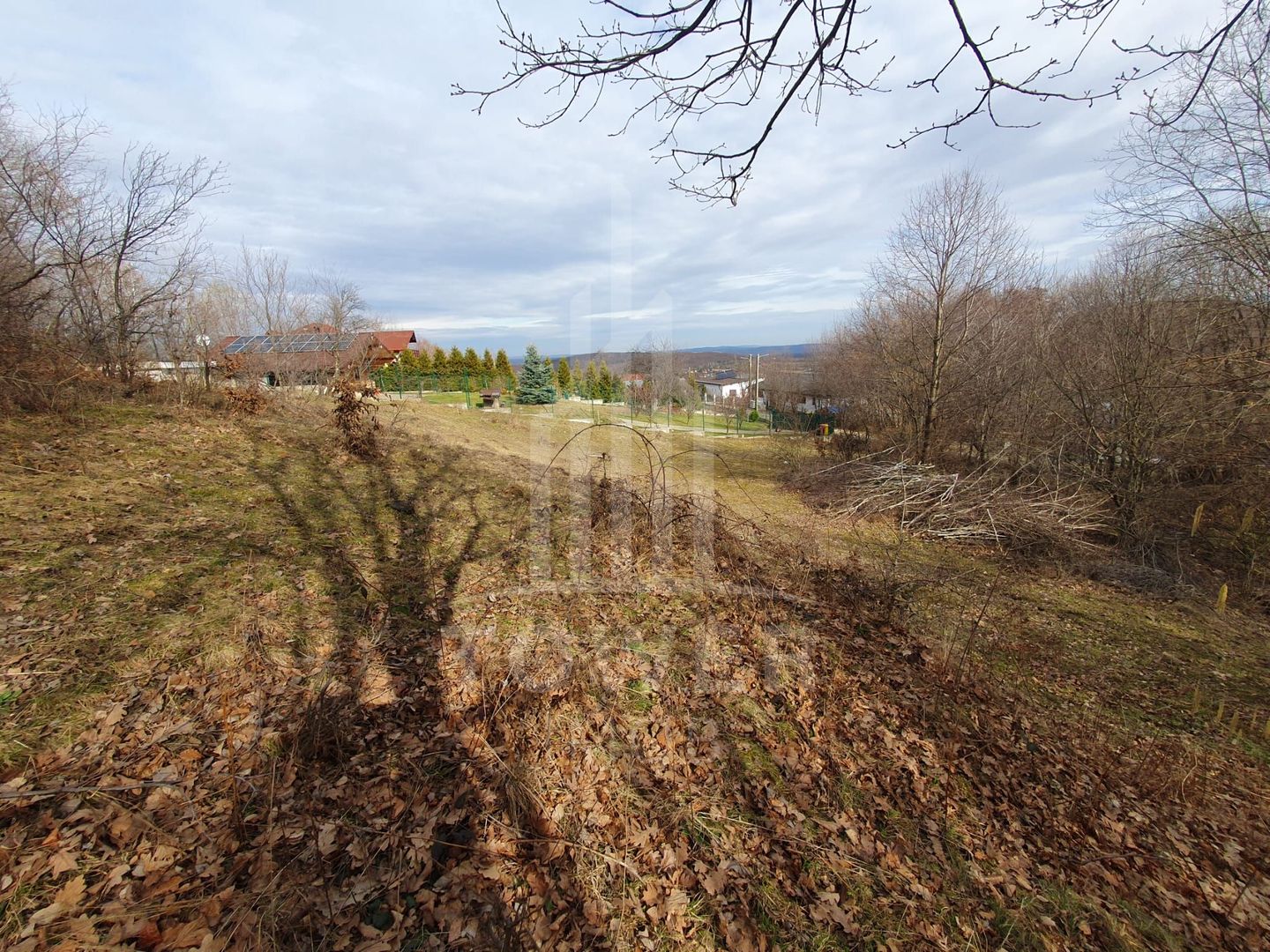 Teren Intravilan 2.938 mp | Tocile - Poză 1