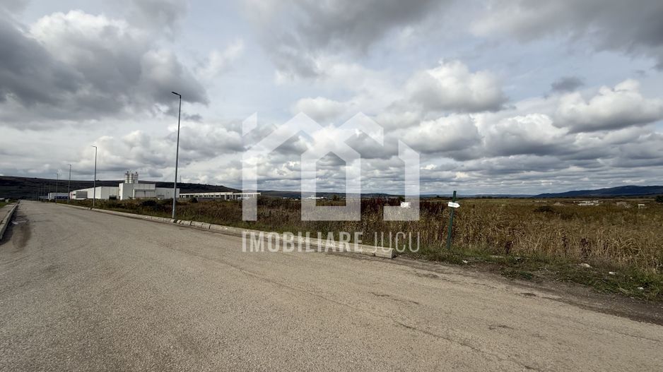 Teren Intravilan Industrial – 10.714 mp – Parc Tetarom, Răscruci - Poză 1
