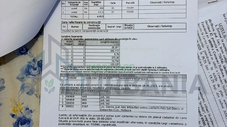 Teren intravilan 900 mp în Dancu, zona Lacul Chirița, cu drum de acces inclus - Poză 5