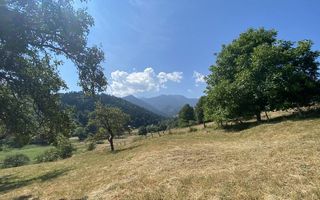 Teren extravilan de vânzare în Râșnov | 6.070 mp | Vedere panoramică - Poză 6