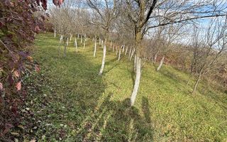 Casă Tradițională de Vânzare| Aciliu | Potențial investițional ridicat - Poză 3