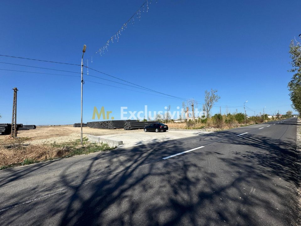 Teren extravilan de vânzare – Căteasca, Argeș | 27.201 mp | Deschidere 58,55 m - Poză 9