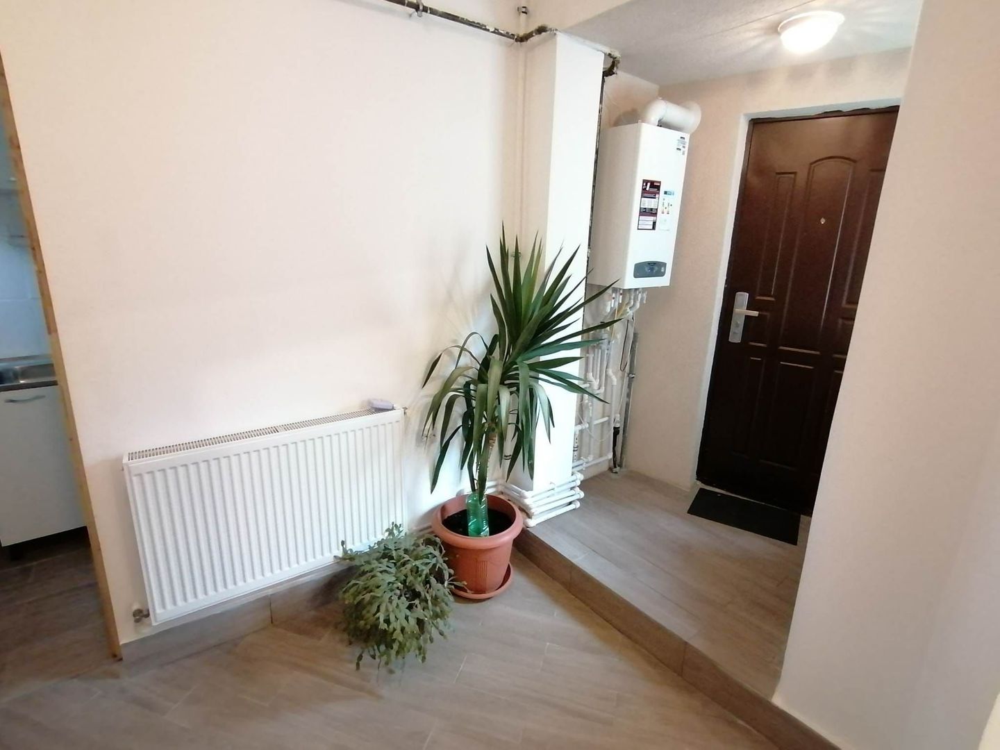 Oportunitate Ultracentrală – Clădire cu Apartamente de Vânzare | S4 - Poză 3