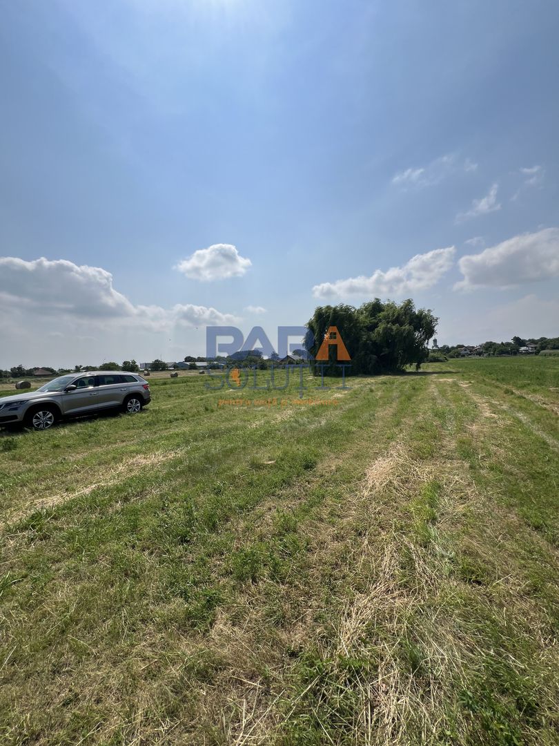 5200 mp intravilan - Str Viitorului (zona Abator) - Poză 3