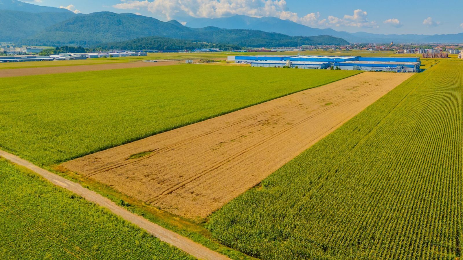 Teren Intravilan constructii hale Cristian - Poză 2