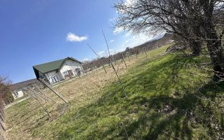 Teren intravilan de vânzare în centrul comunei Bârnova, Iași - Poză 2