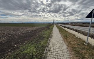 Teren intravilan | 9600 mp | Șură Mică | Utilități | Drum Asfaltat - Poză 3