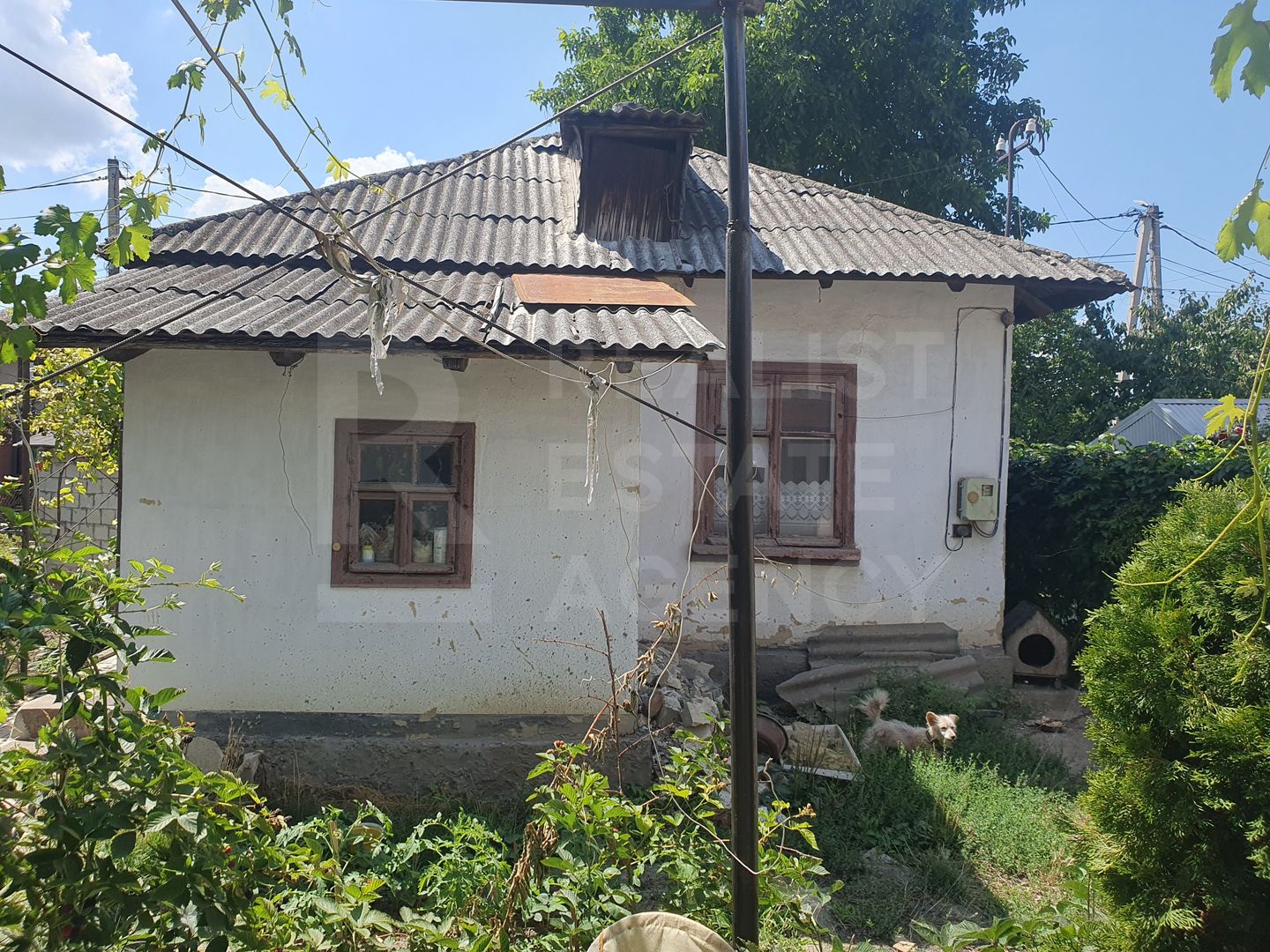 Vânzare casă într-o zonă liniștită și ecologică - Poză 11