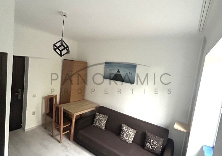 Investitie la cheie 13 mp, Gruia - Poză 3