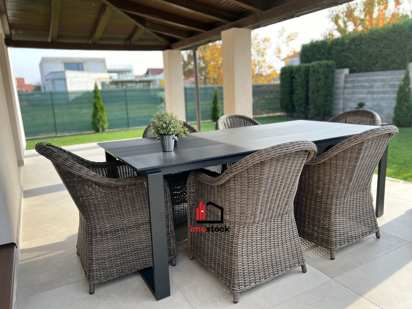 Vila superba Dumbravita - Poză 11