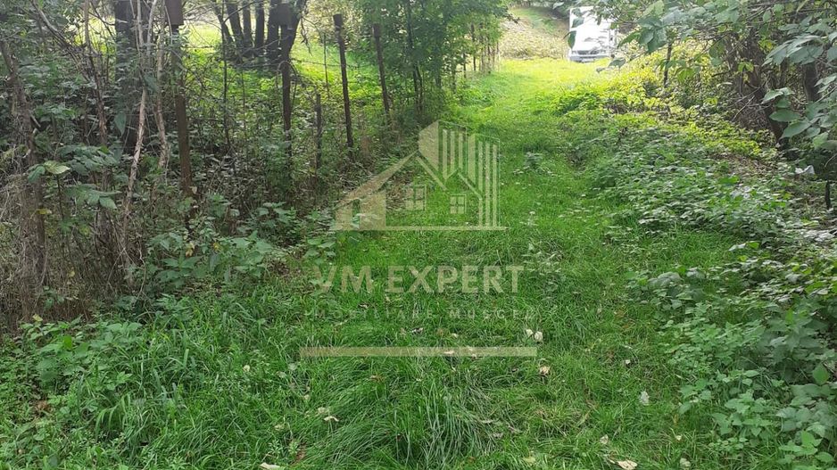 TEREN INTRAVILAN 3698 MP, CAMPULUNG, ARGES - Poză 3