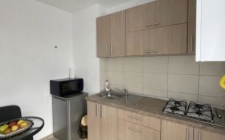 Garsoniera de Inchiriat UMF 7 Noiembrie Tg. Mures - Poză 3