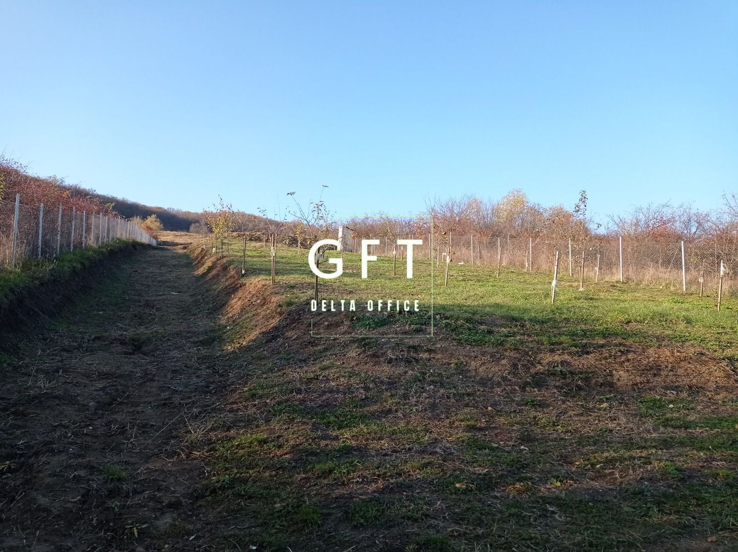 Teren intravilan 2700 mp-ideal case/investitie-Viisoara - Poză 6