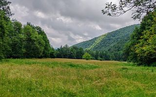 2,8 Ha Teren Extravilan cu Pârâu - Negreni, Cluj - Poză 10