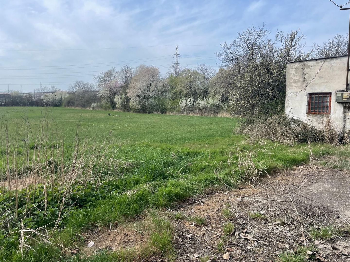 Teren intravilan 8500 mp in Iosia, Oradea - Poză 3