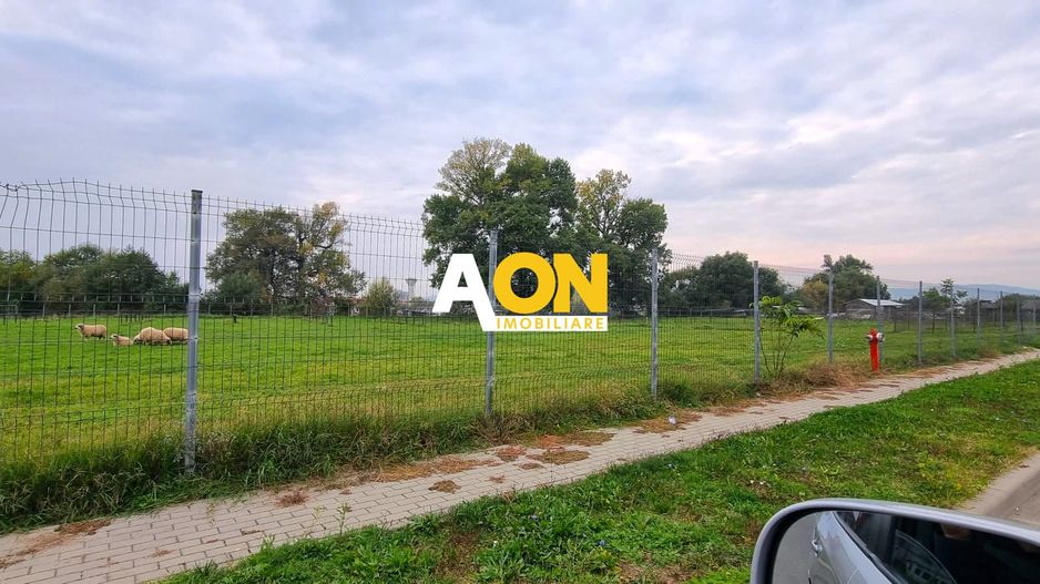 Oportunitate de investitie, posibilitate parcelare, 12.000 MP, Sebes - Poză 4