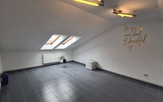 Spatiu de birou, depozitare, zona Centrala, Platinia, Motilor - Poză 2