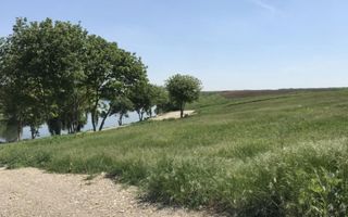 Locatia ideala pentru Casa de Vis ! - Poză 3