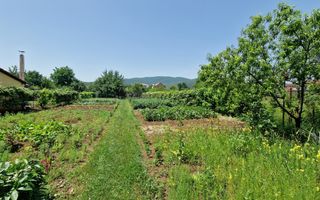 Teren intre Alba-Micesti, partea dreapta - Poză 7